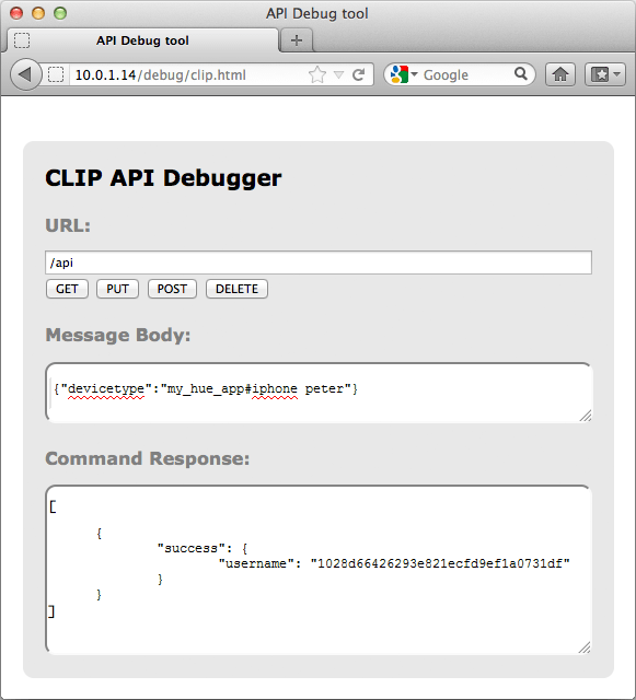 Open your browser and go to the API debugger